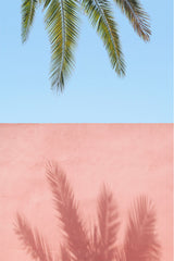 Palm Tree Reflecting