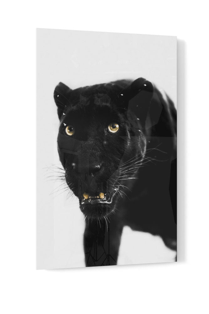 Panther Mono