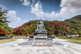 Buddha in South Korea